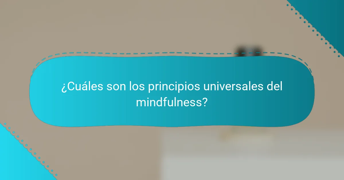 ¿Cuáles son los principios universales del mindfulness?